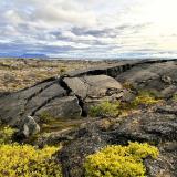 Los alrededores del lago Mývatn marcan la entrada al activo sistema volcánico de Krafla, uno de los cinco que componen la Zona Volcánica Norte, que se encuentra en la placa euroasiática. El bajo contenido en sílice, la elevada temperatura y la escasa cantidad de gases disueltos que presentan los magmas basálticos de Islandia, provocan que su salida sea en forma de fuentes de lava, denominadas erupciones hawaianas. Este tipo de magmas se originan por la fusión del manto en los márgenes de las placas. Las coladas de lava originadas en estas erupciones son de dos tipos: ’pahoehoe’ y ’aa’. Las lavas ’pahoehoe’ muestran una superficie bulbosa y una corteza suave, aunque esta se puede comprimir y plegar dando lugar a las llamadas lavas cordadas. Mientras que las lavas ’aa’ se caracterizan por estar formadas por bloques de lava fragmentados con superficies ásperas y rugosas.
En la imagen, en el municipio de Skútustaðahreppur, aparecen lavas tipo ’pahoehoe’, formando lavas cordadas en primer término, con grietas de contracción por enfriamiento de la colada. (Autor: Antonio P. López)