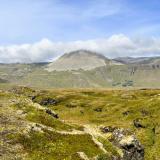 Los campos de basalto de Búðahraun aparecen totalmente cubiertos de musgo y helechos. Estas coladas basálticas se formaron durante la erupción del volcán Búðaklettur que, con un cráter de 88 metros de altura, fluyeron hace casi unos 8.000 años. La parte oriental de Búðahraun está formada por el tipo de lava ’pahoehoe’, donde se han descubierto varias cuevas, la más conocida es Búðahellir. (Autor: Antonio P. López)