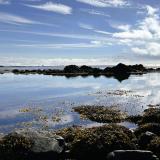 Ytri Tunga es una playa situada en el sur de la península de Snæfellsnes. Es una de las pocas playas de arena más clara y no negra, como las del resto del país. Un día en calma, raro para ser el Atlántico Norte. (Autor: Antonio P. López)