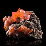 Wulfenite and QuartzM'Fouati, Distrito M'Fouati, Departamento Bouenza, República del Congo7 x 7 x 5 cm / main crystal: 3.1 cm (Author: MIM Museum)