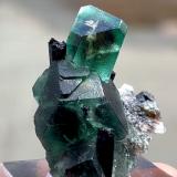 Fluorite, SchorlMonte Erongo, Usakos, Región Erongo, Namibia41 mm x 36 mm. Largest crystal: 16 mm (Author: Carles Millan)