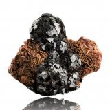 Cronstedtite with Siderite and DolomiteMina Herja, Chiuzbaia, Baia Sprie, Maramures, Rumanía4.5 x 3.5 x 4 cm / main crystal: 0.5 cm (Author: MIM Museum)