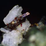 Rutilo, Cuarzo<br />Canteras de Mármol, Macael, Comarca Valle del Almanzora, Almería, Andalucía, España<br />Grupo de cristales de 1 mm.<br /> (Autor: Antonio P. López)