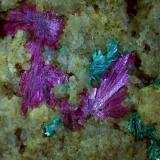 Erythrite, TiroliteGalería Stocker, distrito minero Silberberg, Reith im Alpbachtal, Distrito Kufstein, Valle Inn, Tirol Norte, Tirol, Austria2,5 x 2 cm (Author: Volkmar Stingl)