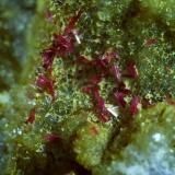 Erythrite, Quartz, CalciteGalería Stocker, distrito minero Silberberg, Reith im Alpbachtal, Distrito Kufstein, Valle Inn, Tirol Norte, Tirol, Austria5,5 x 4 cm (Author: Volkmar Stingl)