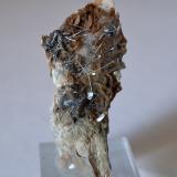 Boulangerite, SideriteMina Bottino, Sant'Anna (Sant'Anna di Stazzema), Alpes Apuanos, Municipio Stazzema, Provincia Lucca, Toscana, Italia3,5 x 1,5 cm (Author: Volkmar Stingl)