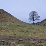 NANorthumberland, Inglaterra / Reino Unido (Author: Forrestblyth)