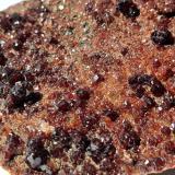 Grossular (variety Hessonite)<br />Faiallo Pass, Urbe, Savona Province, Liguria, Italy<br />7,5 x 5 cm<br /> (Author: Volkmar Stingl)