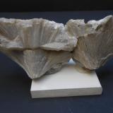 Ulexita<br />Boron, Distrito Kramer, Condado Kern, California, USA<br />15 x 6 x 3 cm<br /> (Autor: Antonio Alcaide)