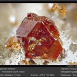 Sphalerite and PyriteMontdardier, Le Vigan, Gard Department, Occitanie, Francefov 3.6 mm (Author: ploum)