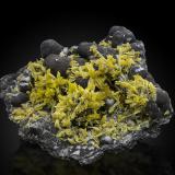 Pyromorphite on CoronaditeMina Broken Hill South, Broken Hill, Condado Yancowinna, Nueva Gales del Sur, Australia8,0	x	7,0	x	2,5	cm (Author: MIM Museum)