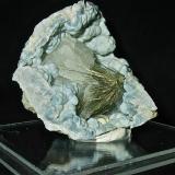 Millerite and Calcite on Quartz (variety chalcedony)Afloramientos Carretera Estatal 37, Harrodsburg, Clear Creek, Condado Monroe, Indiana, USAGeode is 7 cm. The millerite spray is 4cm (Author: Bob Harman)