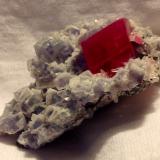 Rhodochrosite, Pyrite, Quartz, Fluorite, Huebnerite<br />Sweet Home Mine, Mount Bross, Alma District, Park County, Colorado, USA<br />7 x 4.4 cm<br /> (Author: JC)