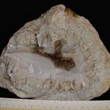 QuartzCondado Monroe, Indiana, USAgeode is about 18 cm with a very thick rind (Author: Bob Harman)
