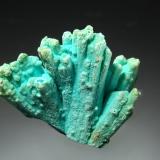 ChrysocollaMinas Ray, Zona Scott Mountain, Distrito Mineral Creek, Montes Dripping Spring, Condado Pinal, Arizona, USA1.9 x 2.1 cm (Author: crosstimber)