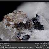 Titanite and AnataseCol de la Madeleine, Macizo La Lauzière, Saint-Jean-de-Maurienne, Saboya, Auvergne-Rhône-Alpes, Franciafov 5.5 mm (Author: ploum)