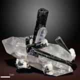 Quartz and SchorlValle Shigar, Distrito Shigar, Gilgit-Baltistan (Áreas del Norte), Paquistán81 x 63 mm (Author: Manuel Mesa)