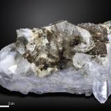 Quartz with RutileKharan, Distrito Kharan, Balochistan (Baluchistan), Paquistán115 X 82 mm (Author: Manuel Mesa)