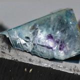 Fluorita sobre Ferberita<br />Mina Yaogangxian, Yizhang, Prefectura Chenzhou, Provincia Hunan, China<br />cristal de fluorita: 15 mm de arista<br /> (Autor: Manuel Mesa)