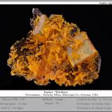 Wulfenite and Mimetite<br />Rowley Mine, Theba, Painted Rock District, Painted Rock Mountains, Maricopa County, Arizona, USA<br />fov 25 mm<br /> (Author: ploum)