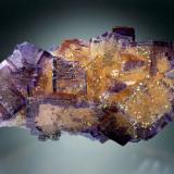 Fluorite with Chalcopyrite<br />Denton Mine, Goose Creek Mine group, Harris Creek Sub-District, Hardin County, Illinois, USA<br />15x6x5 cm overall size<br /> (Author: Jesse Fisher)