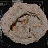 Millerite and PyriteCarretera U.S. Highway 27, Halls Gap, Condado Lincoln, Kentucky, USA5.5 cm (Author: Bob Harman)