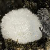 Cowlesite, 'Heulandite'Arroyo Big Tree, Yacolt, Condado Clark, Washington, USAFOV = 2.9 mm (Author: Doug)