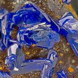 Azurite<br />Wandering Jew Mine, Ophir, Oquirrh Mountains, Ophir District, Tooele County, Utah, USA<br />FOV = 3.8 mm<br /> (Author: Doug)