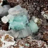 FluoriteMina Silver Coin, Valmy, Distrito Iron Point, Condado Humboldt, Nevada, USAFOV = 3.3 mm (Author: Doug)