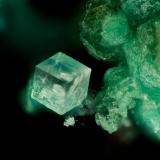 FluoriteMina Silver Coin, Valmy, Distrito Iron Point, Condado Humboldt, Nevada, USAFOV = 1.1 mm (Author: Doug)