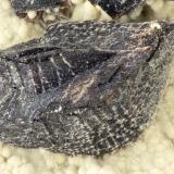 Siderite<br />Big Cliff, Clackamas River localities, Clackamas County, Oregon, USA<br />FOV = 3.4 mm<br /> (Author: Doug)