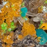 Hemimorphite, RosasiteSimon Mine, Bell District, Mineral County, Nevada, USAFOV = 3.5 mm (Author: Doug)