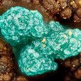 ChrysocollaMina 3 Metals, Distrito Weepah, Condado Esmeralda, Nevada, USAFOV = 1.7 mm (Author: Doug)