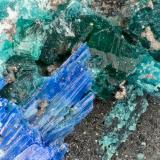 Brochantite, Linarite, Caledonite<br />Blue Bell Mine, Baker, Soda Lake Mountains, San Bernardino County, California, USA<br />FOV = 1.9 mm<br /> (Author: Doug)