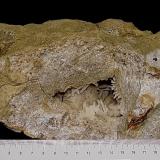 Quartz (geode)  and Aragonite in vugAfloramientos Carretera Estatal 37, Harrodsburg, Clear Creek, Condado Monroe, Indiana, USASee ruler for dimensions (Author: Bob Harman)