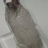 Quartz (variety smoky and reverse scepter)Mina Smoky Mountain Crystal, Ashland, Condado Schuylkill, Pennsylvania, USA5.3 cm x 1.3 cm (Author: kushmeja)