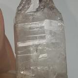 Quartz (variety smoky and reverse scepter)Mina Smoky Mountain Crystal, Ashland, Condado Schuylkill, Pennsylvania, USA5.3 cm x 1.3 cm (Author: kushmeja)