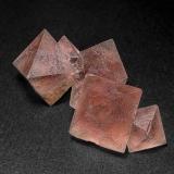 FluoriteZona minera Huanggang, Hexigten Banner (Kèshíkèténg Qí), Chifeng (Ulanhad), Región Autónoma Mongolia Interior, China6.7 x 3.0 cm (Author: am mizunaka)