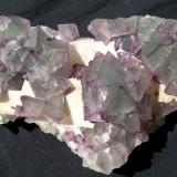 FluoriteMina De'an, Wushan, De'an, Prefectura Jiujiang, Provincia Jiangxi, China17 x 9 cm (Author: Volkmar Stingl)