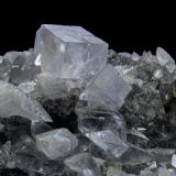 Fluorite<br />Eggl Alp, Dambach valley, Kirchdorf an der Krems, Upper Austria/Oberösterreich, Austria<br />FOV 16 x 12 mm<br /> (Author: Gerhard Brandstetter)