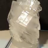 Quartz (variety faden)Mina La Selva, Casal di Pari, Civitella-Paganico, Provincia Grosseto, Toscana, Italia50 x 39 mm (Author: Sante Celiberti)