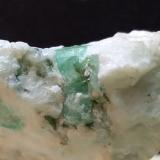 Beryl (variety emerald)Mina Buca della Vena, Ponte Stazzemese, Municipio Stazzema, Provincia Lucca, Toscana, Italia44 x 32 mm (Author: Sante Celiberti)