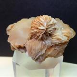 Baryte, QuartzMinas Argentiera di Sant'Anna, Sant'Anna (Sant'Anna di Stazzema), Alpes Apuanos, Municipio Stazzema, Provincia Lucca, Toscana, Italia55 x 33 mm (Author: Sante Celiberti)