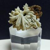 Baryte, Galena, SideriteMinas Argentiera di Sant'Anna, Sant'Anna (Sant'Anna di Stazzema), Alpes Apuanos, Municipio Stazzema, Provincia Lucca, Toscana, Italia42 x 37 mm (Author: Sante Celiberti)