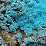 Hemimorphite, AurichalciteCampiglia Marittima, Campigliese, Provincia Livorno, Toscana, Italia31 x 25 cm (Author: Sante Celiberti)