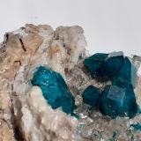 Dioptase, QuartzDepósito Altyn-Tyube, Zona Altyn-Tyube, Estepas Kirguises, Región Karaganda, Kazajstán8 x 7 cm (Author: Volkmar Stingl)