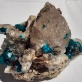 Dioptase, QuartzDepósito Altyn-Tyube, Zona Altyn-Tyube, Estepas Kirguises, Región Karaganda, Kazajstán8 x 7 cm (Author: Volkmar Stingl)