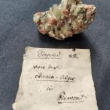 Diopside, GrossularAlpe Mussa, Balme, Val d'Ala, Valles Lanzo (Valli di Lanzo), Provincia Ciudad metropolitana de Turín, Piamonte (Piemonte), Italia3,5 x 2,5 cm (Author: Volkmar Stingl)