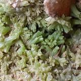 Detailed view of the Pyromorphite crystals, (Author: Volkmar Stingl)