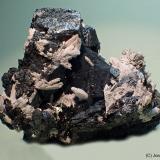 Hematites<br />Mina Rio (Mina Rio Marina), realce Valle Giove, Rio Marina, Isla de Elba, Provincia Livorno, Toscana, Italia<br />60x50 mm<br /> (Autor: Joan Niella)